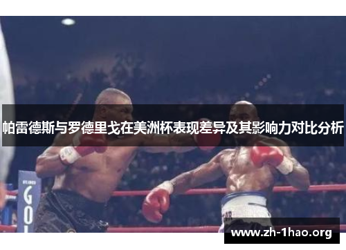 帕雷德斯与罗德里戈在美洲杯表现差异及其影响力对比分析