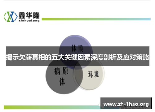 揭示欠薪真相的五大关键因素深度剖析及应对策略