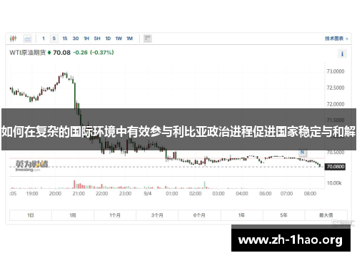 如何在复杂的国际环境中有效参与利比亚政治进程促进国家稳定与和解