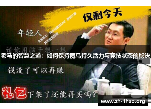 老马的智慧之道：如何保持魔鸟持久活力与竞技状态的秘诀