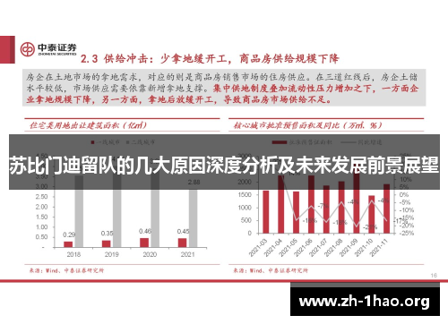 苏比门迪留队的几大原因深度分析及未来发展前景展望