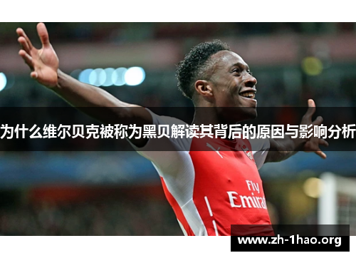 为什么维尔贝克被称为黑贝解读其背后的原因与影响分析